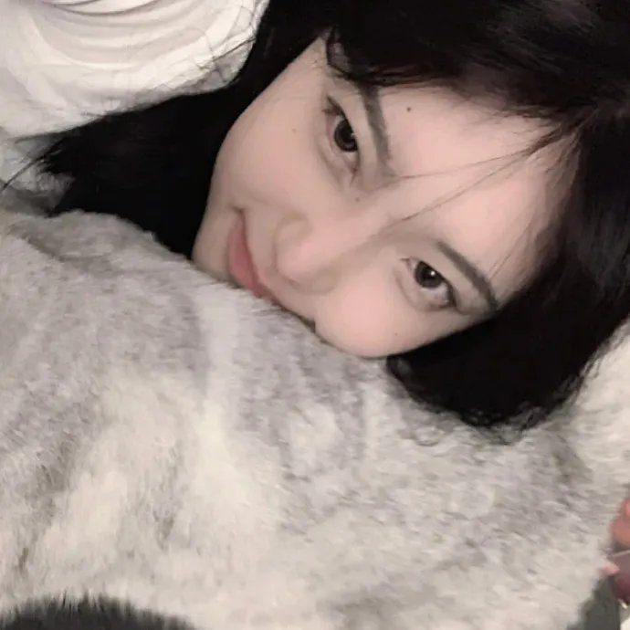 香车美人